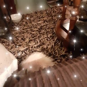 Meet your Posher, Doug